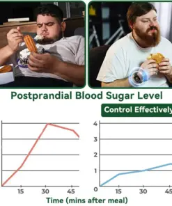 𝐏𝐮𝐫𝐞𝐥𝐨𝐫𝐚® 𝐁𝐞𝐫𝐛𝐞𝐫𝐢𝐧𝐞 𝟖-𝐈𝐍-𝟏 𝐒𝐥𝐢𝐦 & 𝐇𝐞𝐚𝐥𝐭𝐡𝐲 𝐒𝐞𝐫𝐮𝐦 𝐍𝐚𝐧𝐨 𝐌𝐢𝐜𝐫𝐨𝐧𝐞𝐞𝐝𝐥𝐞 𝐏𝐚𝐭𝐜𝐡