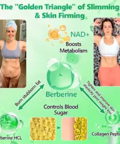 Purelora® Crystal Microneedle Nano System with NAD⁺ Activation & 20-in-1 Slim & Healthy Pacth Solution