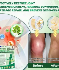 Purelora® Moringa · Berberine × NAD⁺ 10-in-1 Nano Microneedle Patch