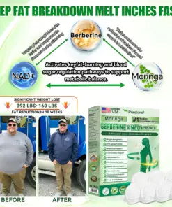 Purelora® Moringa Berberine × NAD⁺ 10-in-1 Nano Microneedle Patch