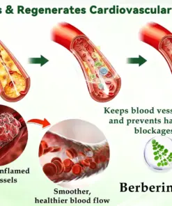 Purelora® Moringa Berberine × NAD⁺ 10-in-1 Nano Microneedle Patch