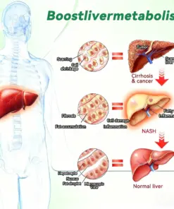 Purelora® Moringa Berberine NAD 10-in-1 Nano Microneedle Patch (Just once daily, visible changes in 7 days) Supports weight management, loose skin, diabetes care, sleep apnea, joint comfort, and more