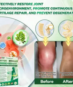 Purelora® Moringa Berberine NAD 10-in-1 Nano Microneedle Patch (Just once daily, visible changes in 7 days) Supports weight management, loose skin, diabetes care, sleep apnea, joint comfort, and more